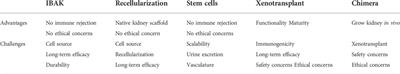 Approaches to kidney replacement therapies—opportunities and challenges